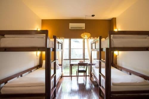 Bunk Bed in Mixed Dormitory Room