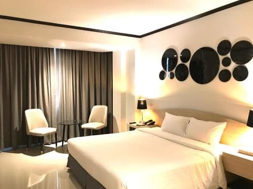 Large Double or Twin Room