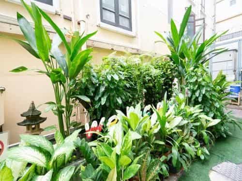 โรงแรม เดอะ อีโคเทล โรงแรม เดอะ อีโคเทล