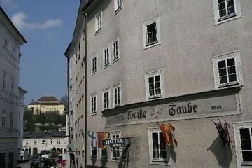 ALTSTADT WEISSE TAUBE2