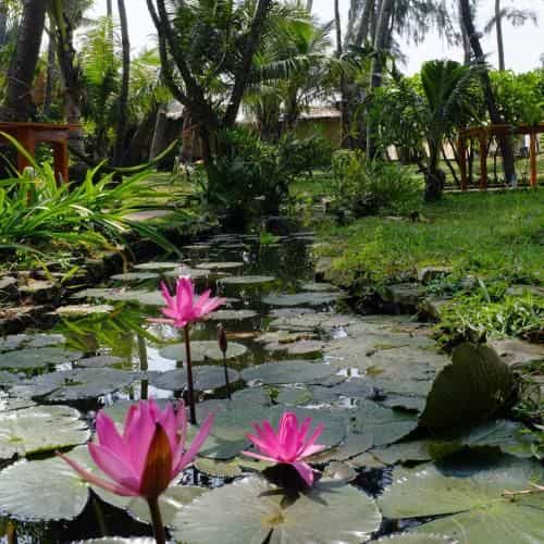 Cassia Cottage Resort and Spa Cassia Cottage Resort and Spa