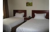 GreenTree Inn Tianjin Jintang Road1