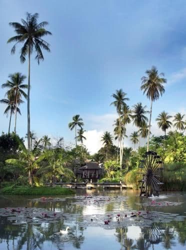 Lagoon Pool Villa