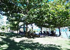Anda White Beach Resort0