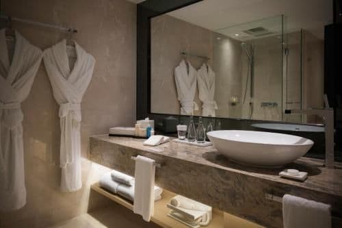 Continental Club - Deluxe Double or Twin Room with Free Minibar