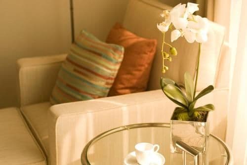 Deluxe Twin Room with Ocean View