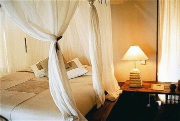 Waka Shorea Resort1