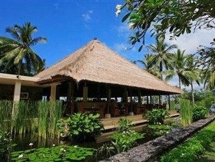 Alila Manggis0