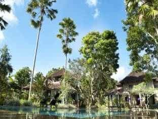 d'Omah Hotel d'Omah Hotel