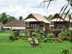 Tegal Sari Accomodation Tegal Sari Accomodation