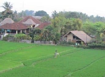 Tegal Sari Accomodation Tegal Sari Accomodation
