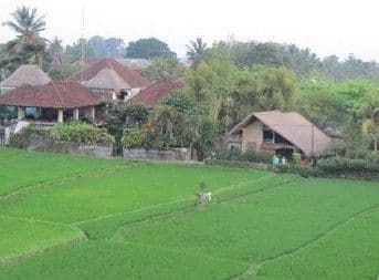 Tegal Sari Accomodation Tegal Sari Accomodation