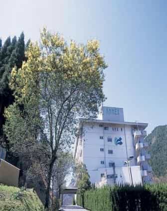 Misugi Resort Hotel Annex