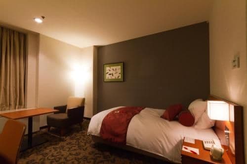 Standard Double Room - Non-Smoking