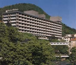 Ooedo Onsen Monogatari Premium Hotel New Shiobara0