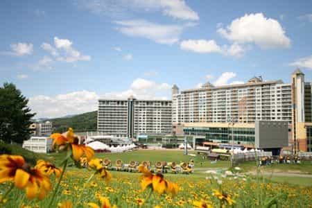 Welli Hilli Park Resort