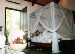 Xanh Nha Trang Xanh Nha Trang