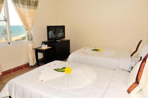 Executive Suite