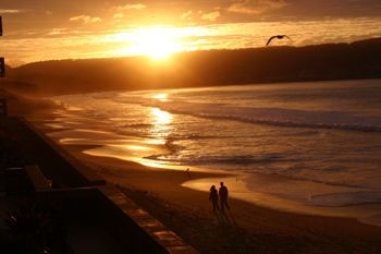 Best Western Plus Beach Resort1