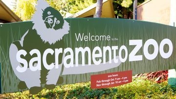 เรสซิเดนซ์อินน์ บายแมริออท ซาคราเมนโต แคลเอ็กซ์โป (Residence Inn Sacramento Cal Expo)1