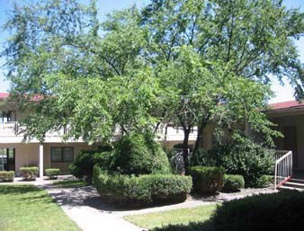 KNIGHTS INN DENVER0