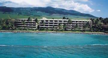 Paki Maui Paki Maui