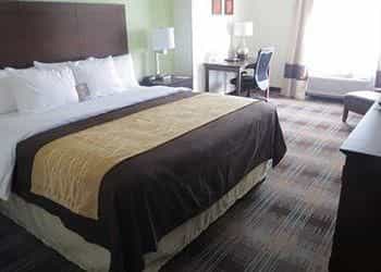 COMFORT INN NICHOLASVILLE