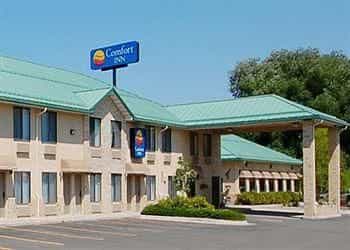 COMFORT INN LIVINGSTON