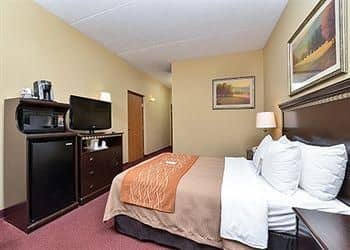 COMFORT INN NEW STANTON COMFORT INN NEW STANTON