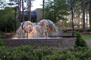 HAMPTON INN AIKEN SC1