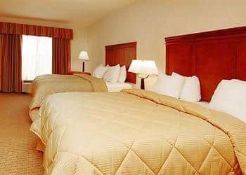 COMFORT INN & SUITES COMFORT INN & SUITES
