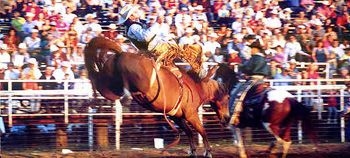 BEST WESTERN LLANO1
