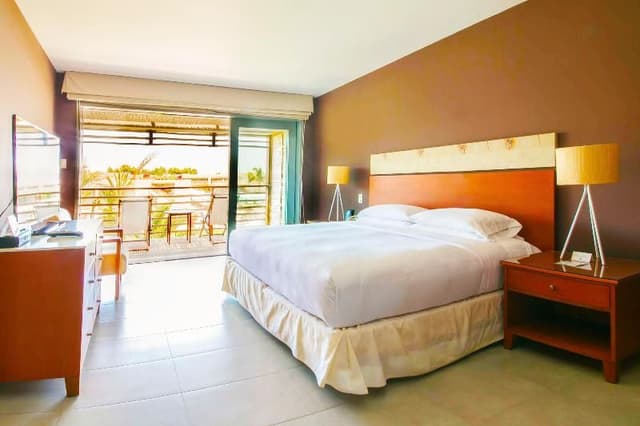 SINGLE GARDEN VIEW KING BED