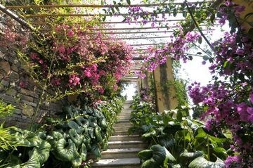 Villa Della Pergola1
