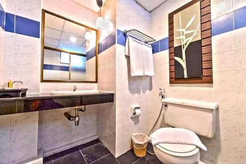 Deluxe Double or Twin Room