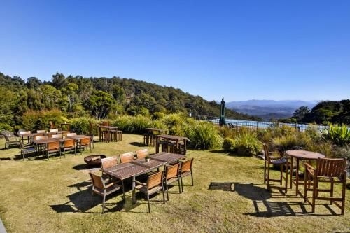 โอเรลลีส์ เรนฟอเรสต์ รีทรีต (O'Reilly's Rainforest Retreat)3