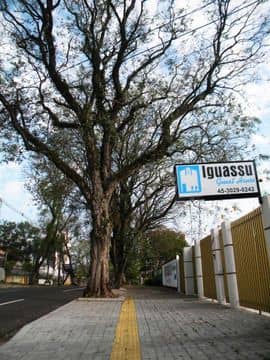 IGUASSU GUEST HOUSE IGUASSU GUEST HOUSE