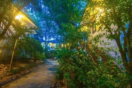 เดอะ ไฮฟ์ โฮเทล (The Hive Hotel)3