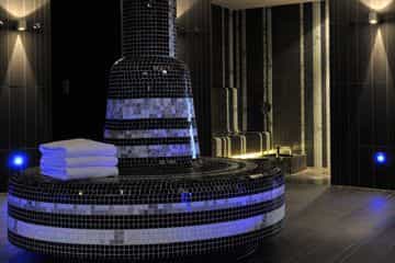 The Cambrian The Cambrian