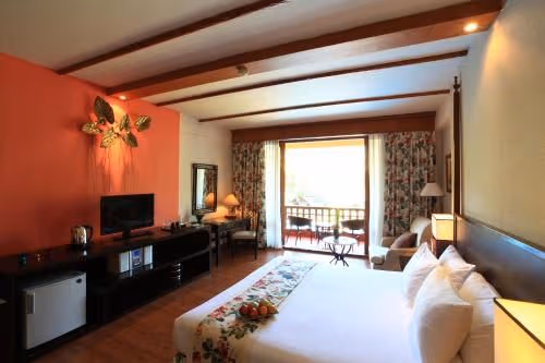 Deluxe Double or Twin Room