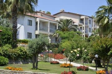Barut Arum Barut Arum