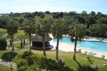Yellow Alvor Garden2