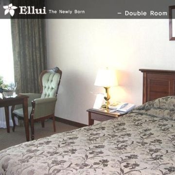 Ellui2
