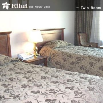 Ellui1