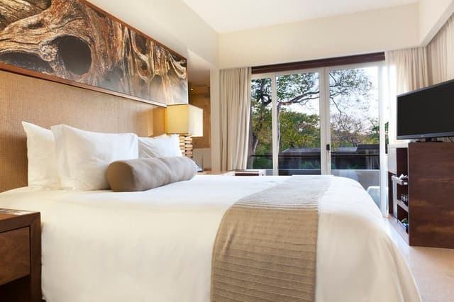 SUITE DELUXE