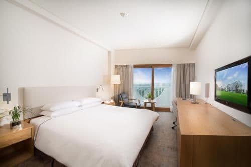 Special Offer - Standard Double Room with Mountain View