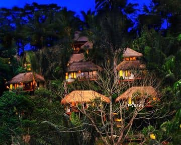 Nandini Jungle by Hanging Gardens Nandini Jungle by Hanging Gardens