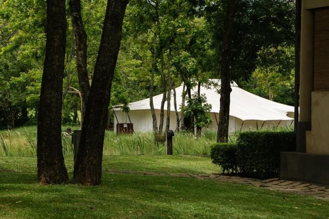 Tent
