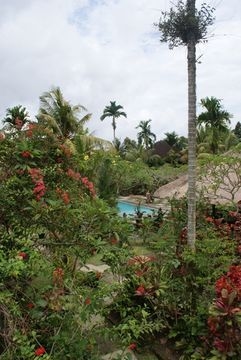 Ubud Inn Cottage2