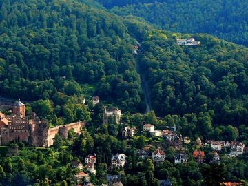 Molkenkur1